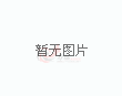洛卡特利：很多孩子没见过意大利踢世界杯，我们肩负着责任